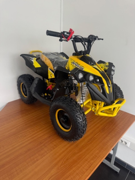 QUAD ENFANT RENAGADE Jaune